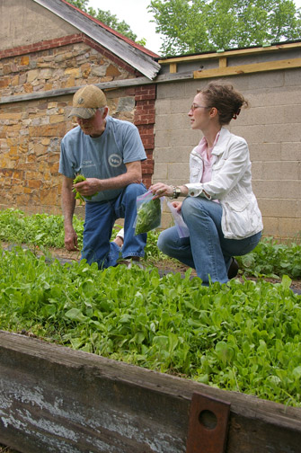 Charlie Jackson (left) and Kristy Eanes pick lettuce May 5 in the garden plot sponsored by the Ladies of Charity of Arkansas at St. Joseph Home in North Little Rock. Arkansas Catholic photo by Matthew Smith